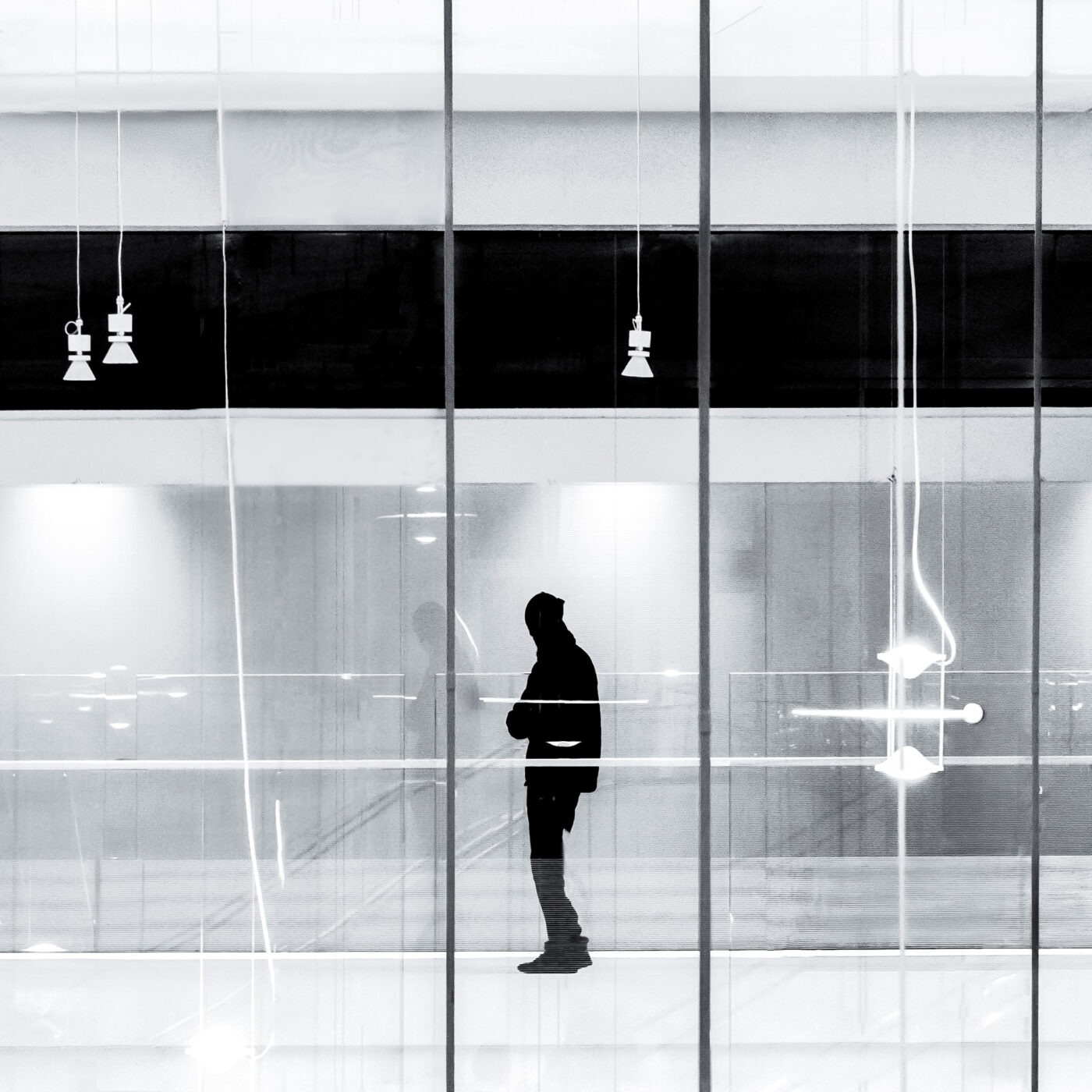 Lignes et courbes_13-15-15_Fabienne Linke