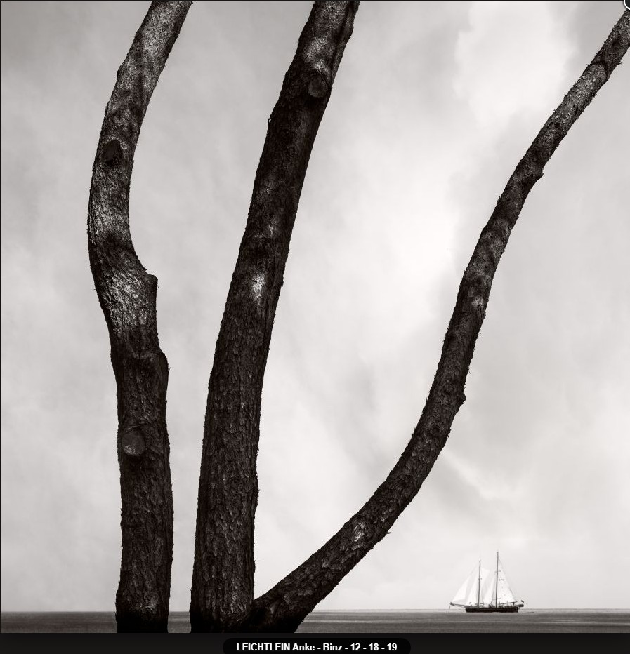 Diplome paysage 12-18-19 Anke LEICHTLEIN